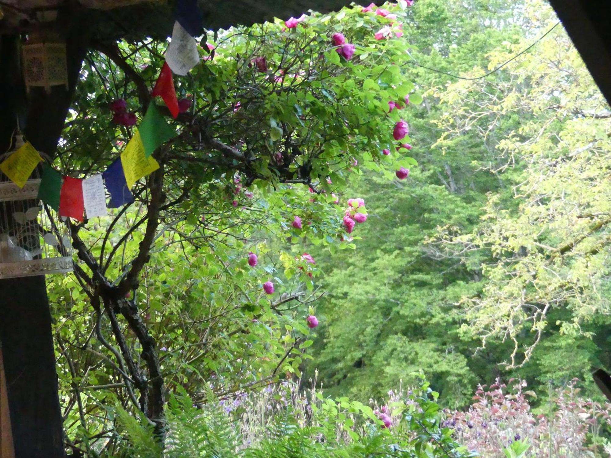 مبيت وإفطار Saint-Bonnet-de-Bellac Au Coeur Des Loges المظهر الخارجي الصورة